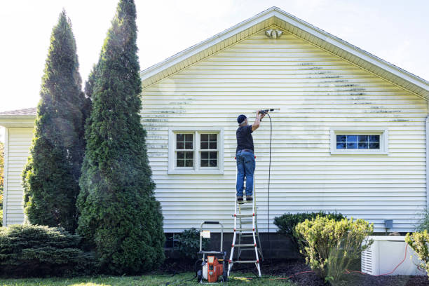 Best Local Pressure Washing Services  in Crisfield, MD