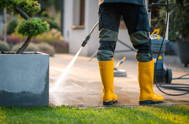 Deck Cleaning Services in Crisfield, MD